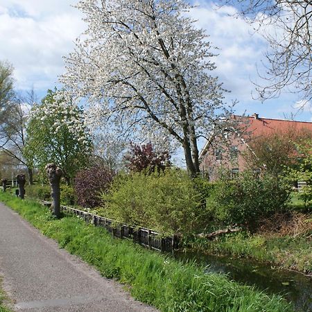 Gastenverblijf De Natureluur Noorden Exteriér fotografie