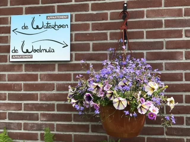 Gastenverblijf De Natureluur Noorden Exteriér fotografie