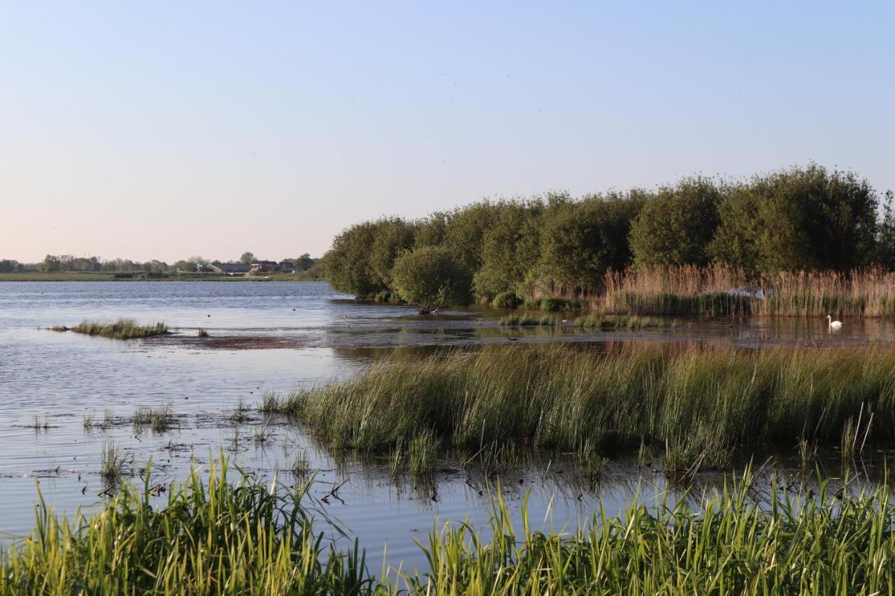 Gastenverblijf De Natureluur Noorden Exteriér fotografie