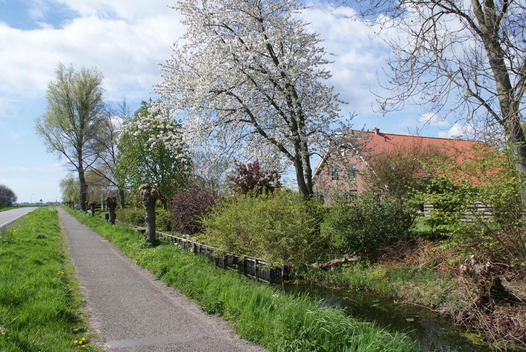 Gastenverblijf De Natureluur Noorden Exteriér fotografie