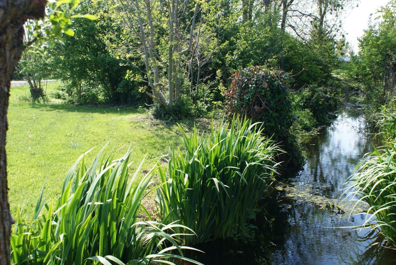 Gastenverblijf De Natureluur Noorden Exteriér fotografie